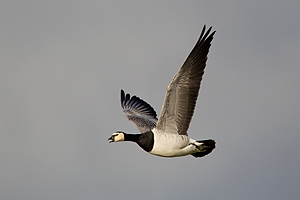 © Oliver Smart © Oliver Smart